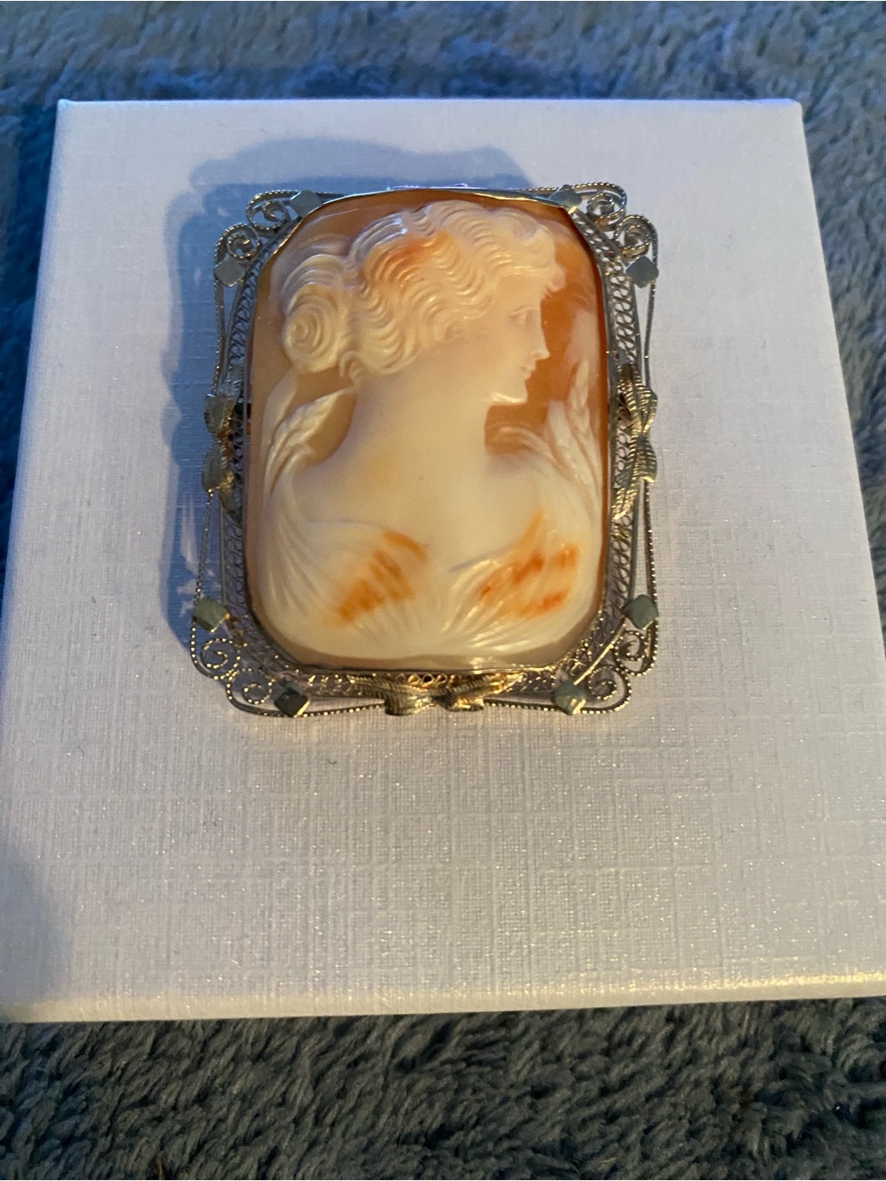 Vintage Carved Shell Cameo Brooch Pin - Cream and Warm Amber - Picture 3 of 6